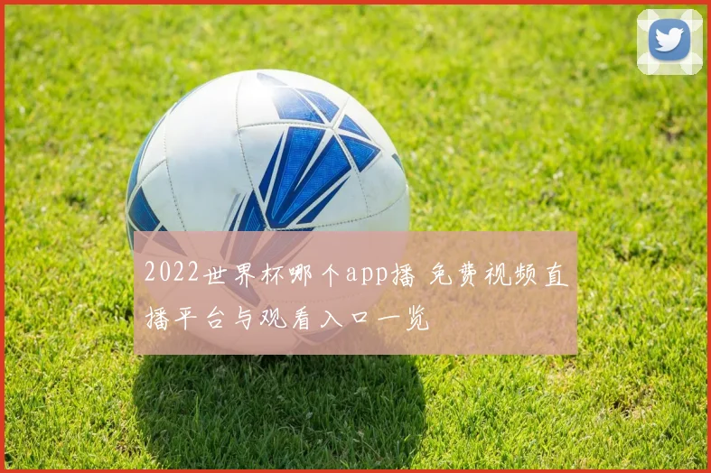 2022世界杯哪个app播 免费视频直播平台与观看入口一览