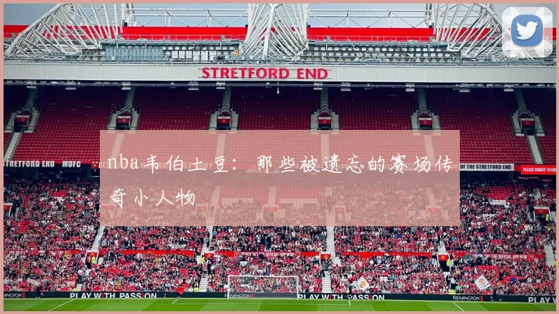 nba韦伯土豆：那些被遗忘的赛场传奇小人物